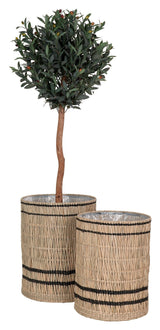 Vinh, Plant Hide Set of 2, Nature