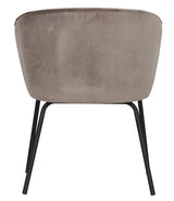 Admit Dining Chair - Khaki Velour