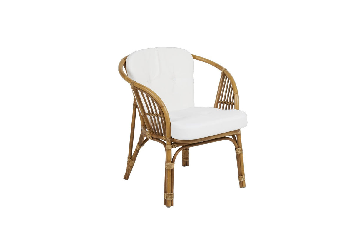 Astrakan Rattan garden chair w. hyde, nature