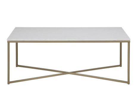 Filippa Coffee table 120x60, White marble