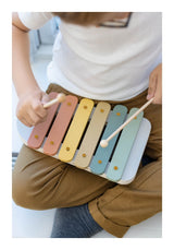 Play Xylophone Mini Multi Color