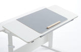 FLEXA Study EVO desk with front bezel, white