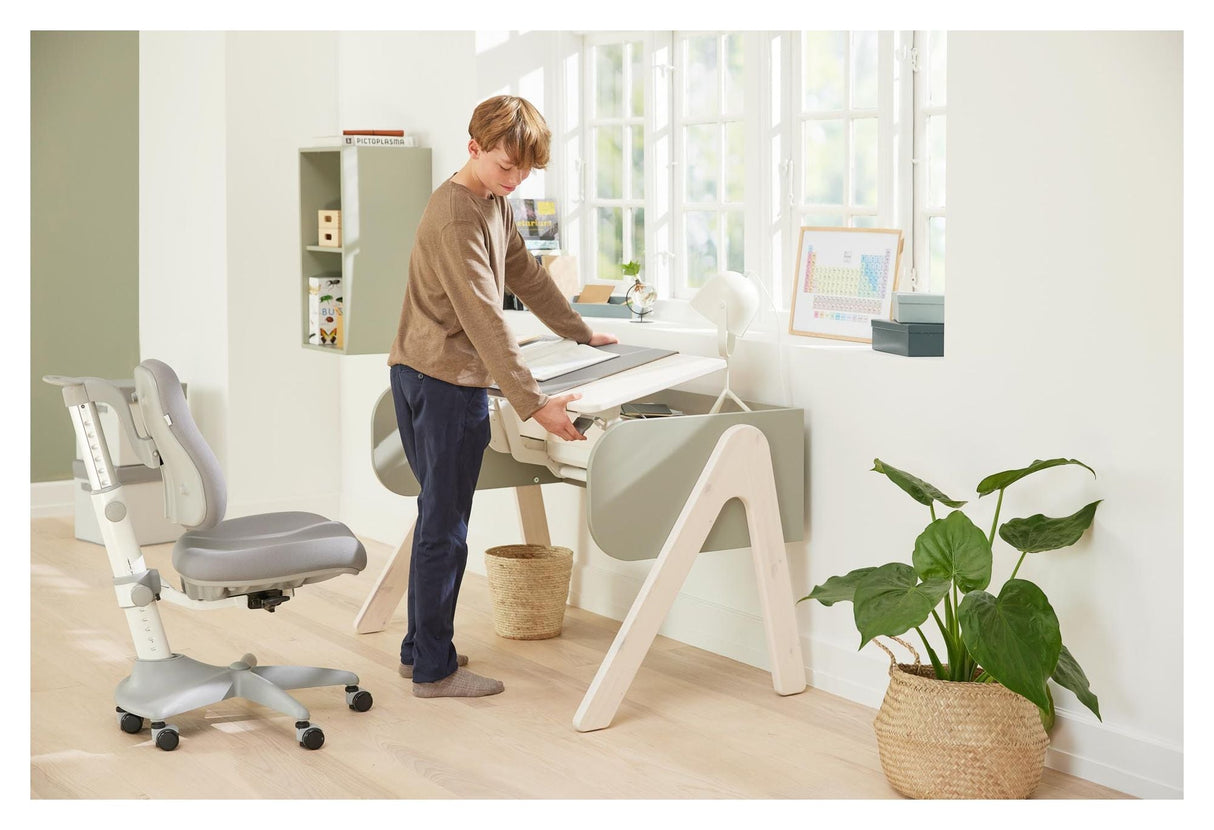 Woody Desk, Gray w. green/pine