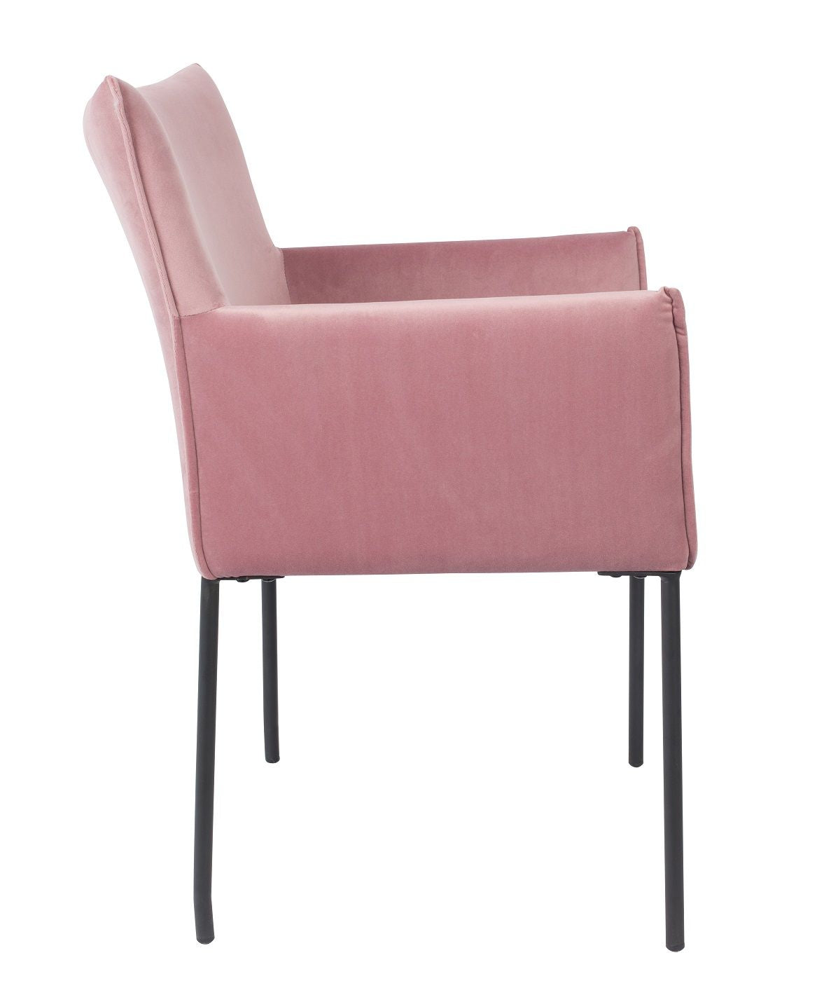 homii Dion Dining chair with armrests, Pink Velour