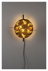 homii Jaylee Wall Lamp, Black