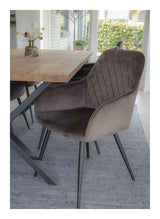 Harbo Dining chair, Mushroom velour