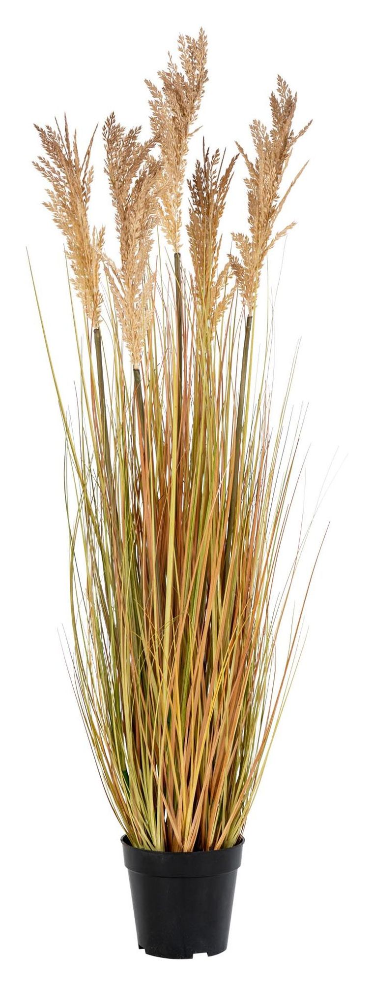 Artificial Sorghum Grass, Nature