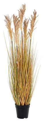 Artificial Sorghum Grass, Nature