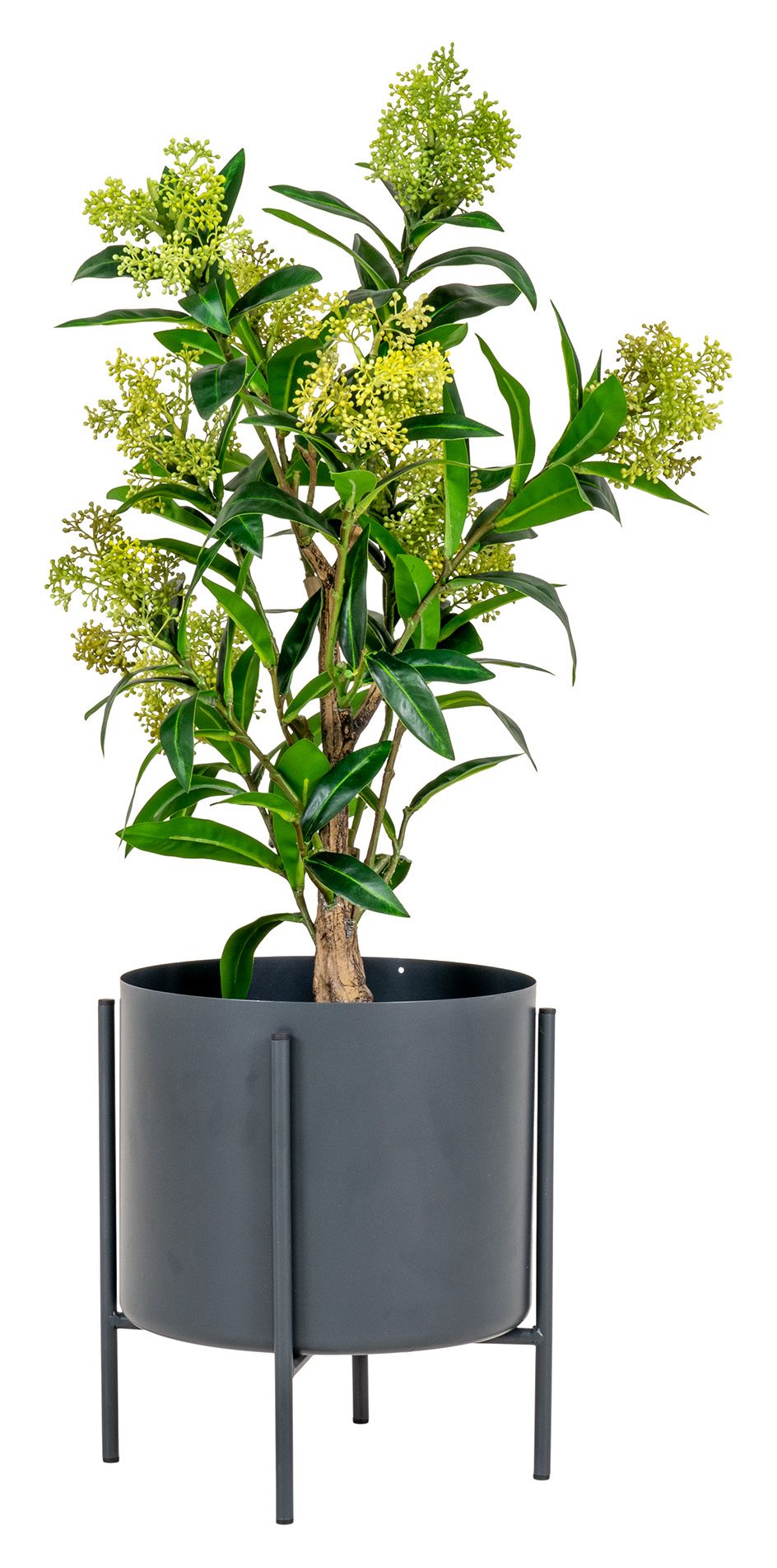 Skimmia Artificial Plant, Green