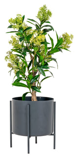 Skimmia Artificial Plant, Green