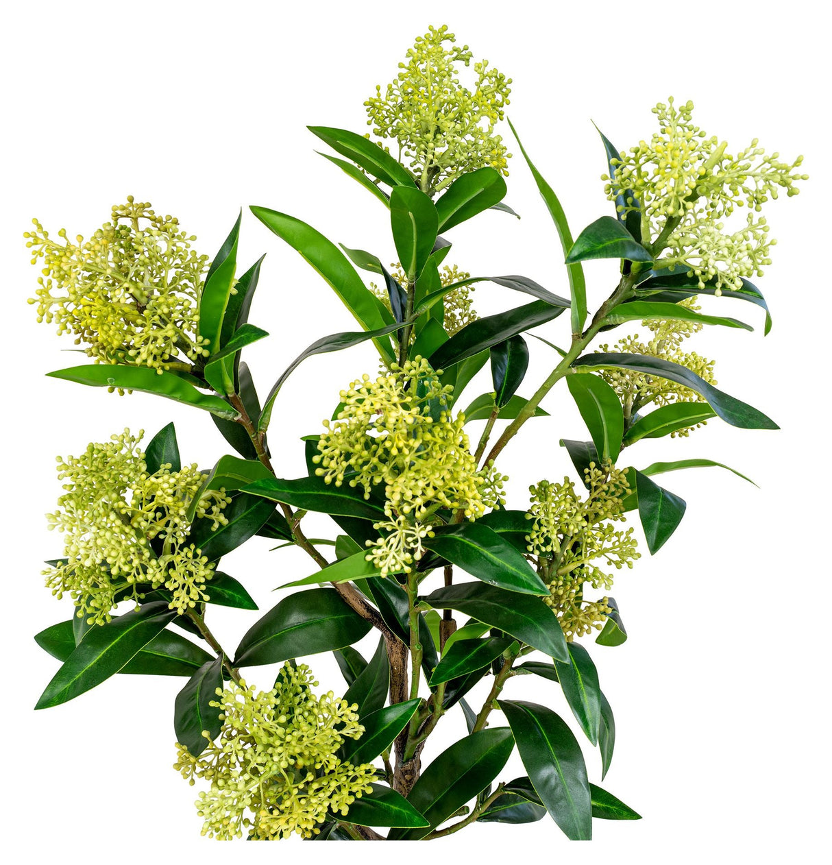 Skimmia Artificial Plant, Green