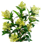 Skimmia Artificial Plant, Green