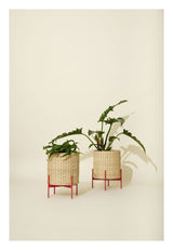 Splint Flower Stand, Red/Nature