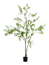 Enkianthus Artificial wood with black pot, H:214