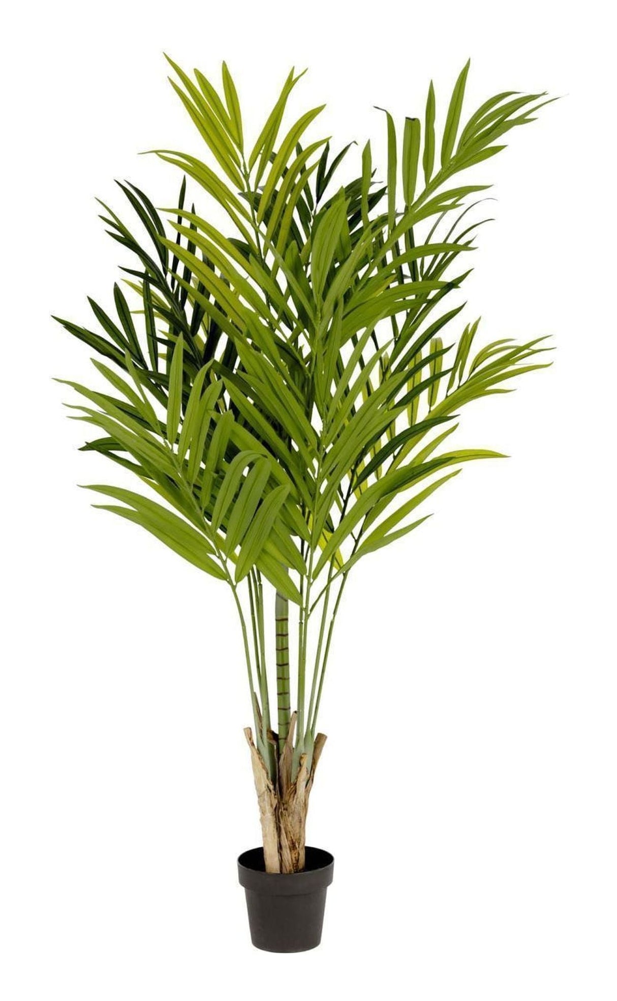 PALMERA Artificial plant, 170 cm