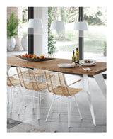 TISHANA Dining chair with white legs, Rattan