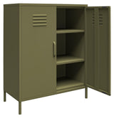 Bradford Metal cabinet with two doors, Olive green