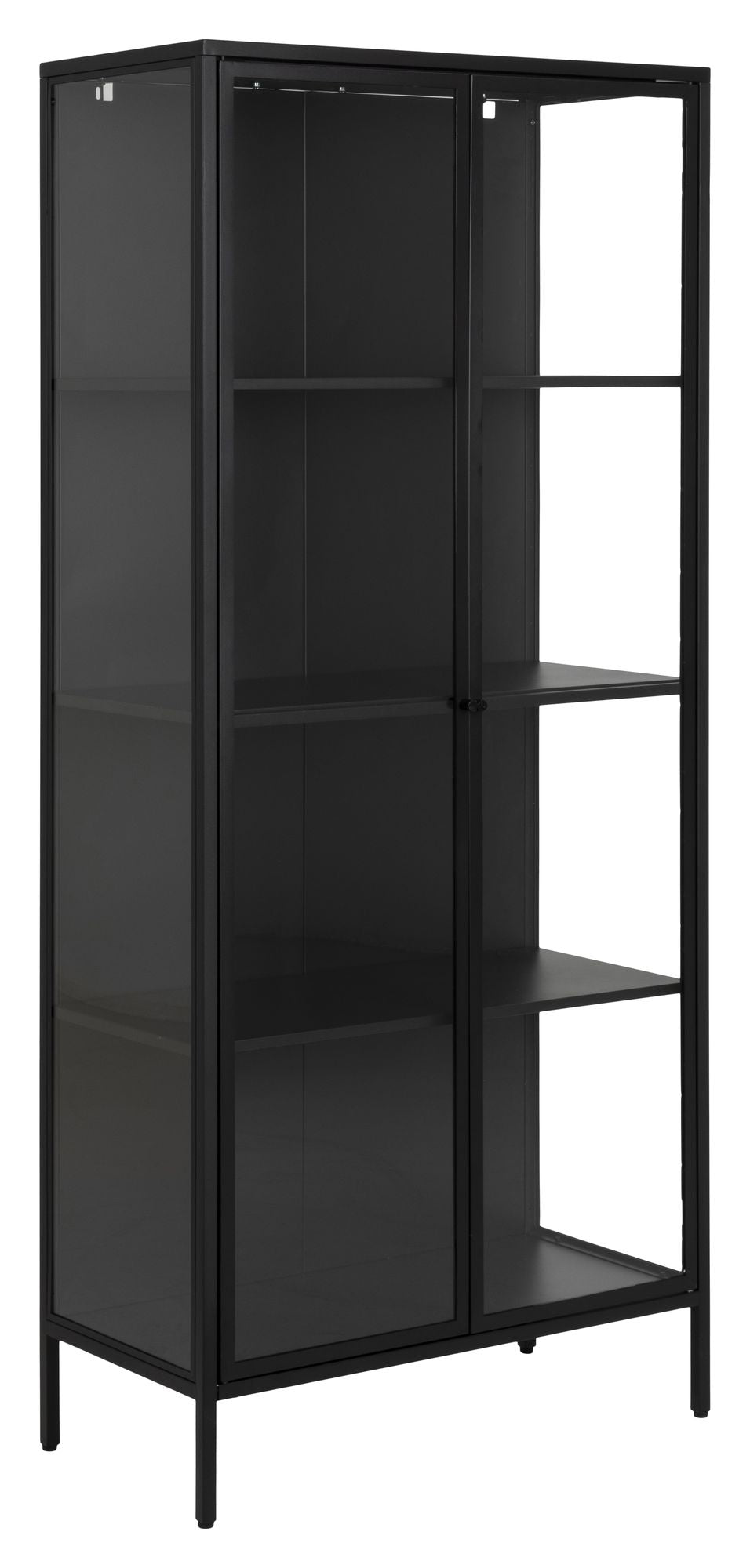 Newcastle Vitrine cabinet with 2 glass doors, Matte black metal