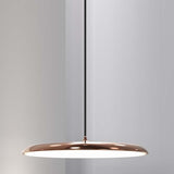 dftp Artist 40 Pendant luminaire, copper