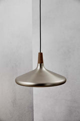 dftp Float 39 Pendant luminaire, brushed steel