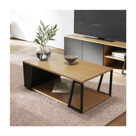 Albi Coffee Table, Light Oak/Black Metal, 100x55x36