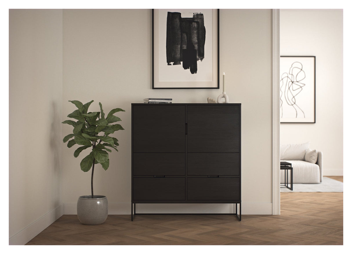 Lipp Cabinet - Black/ash