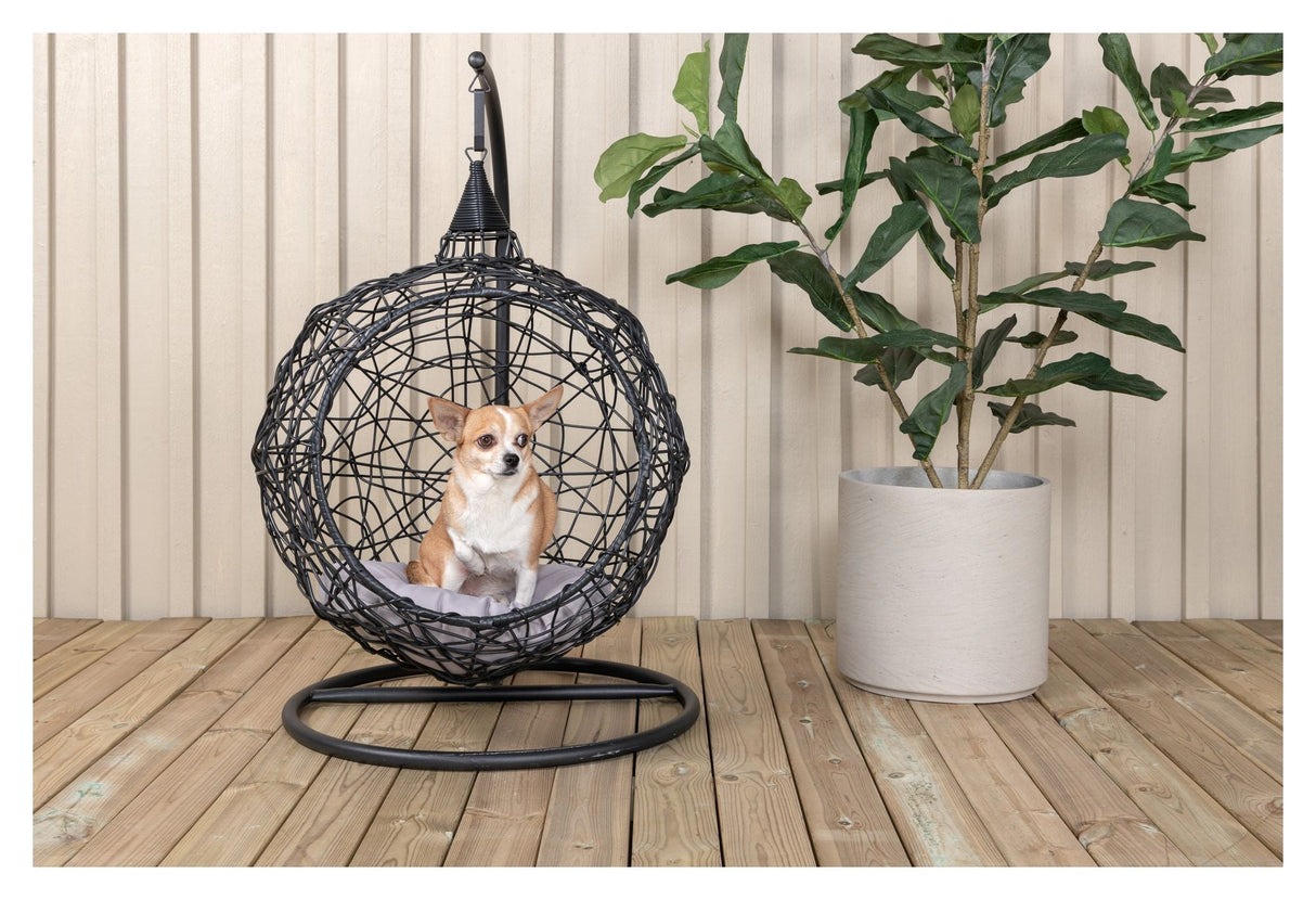 Lexi Hanging Chair, Black w. Gray Cushion