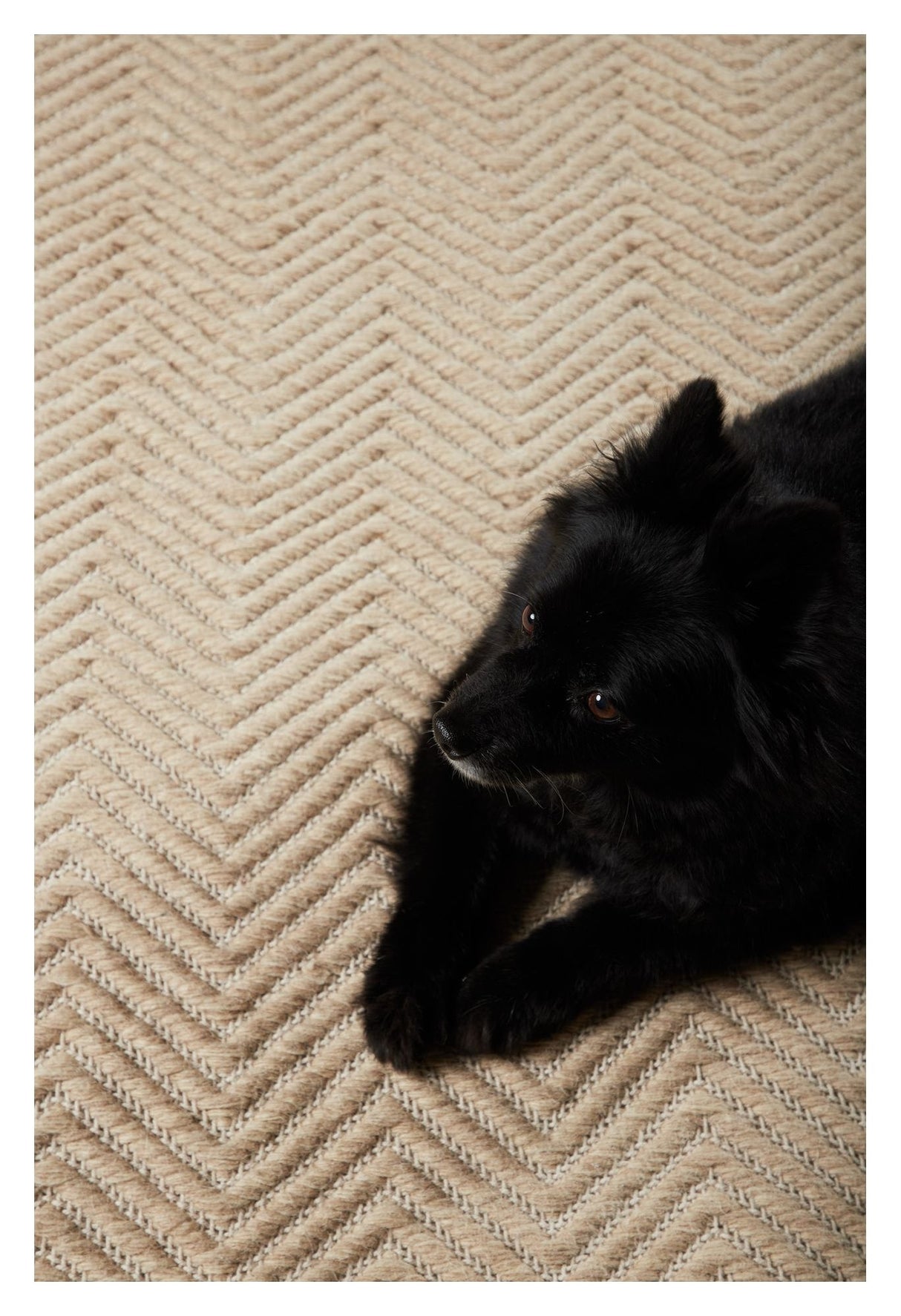 Loki Rug 230x160 - White/beige