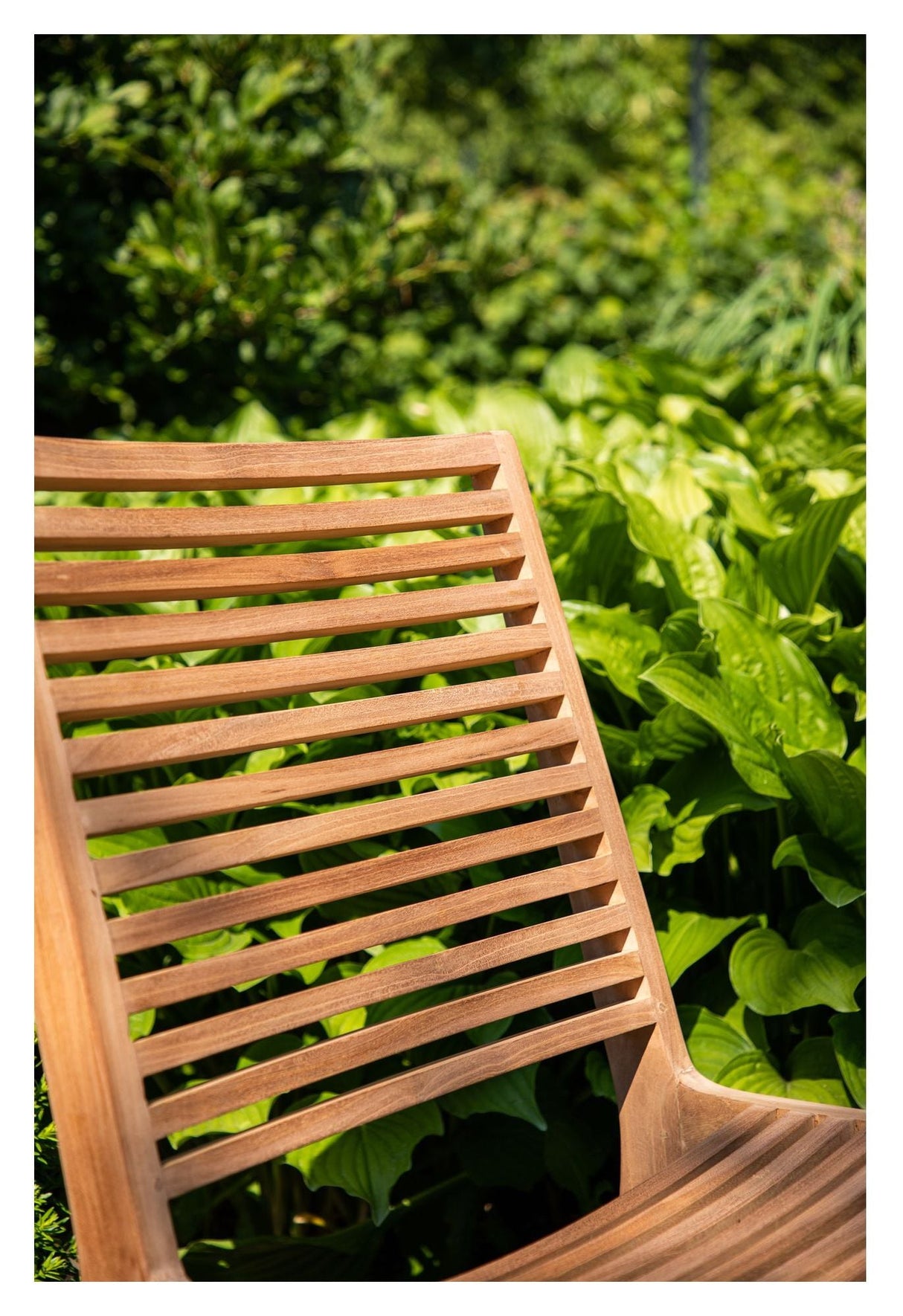 Ribbon Armchair, Teak