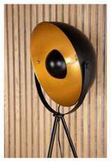 Search Floor lamp, Black/Brass