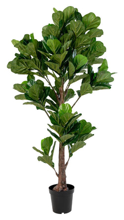 Violin fig Artificial Plant, H190