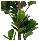 Violin fig Artificial Plant, H190